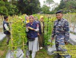 Lanal Simeulue Kembali Menjadi Percontohan di Bidang Ketahanan Pangan di Kabupaten Simeulue