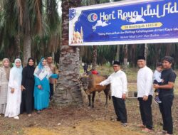 Idul Adha 1445 H PT.CMN Langsa Qurban 5 Ekor Sapi