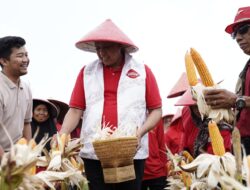 Hadiri Panen Raya Jagung, Tri Adhianto Didaulat Cawalkot Paling Peduli Petani