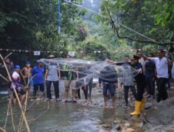 Buka Ikan Larangan Bayang Ayia Tanjuang Alai, Bupati Sabar AS Serak Jala Pertama