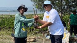 The Wujil Resort Ungkap Kerja Sama dengan LindungiHutan dan Perkembangan Mangrove Terkini