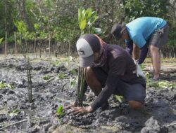 Dukung Strategi Keuangan Berkelanjutan Perusahaan, LindungiHutan Punya Program Mangrove Capital