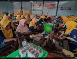 Berdirinya Pabrik Rokok Dan Kontribusi Bagi Daerah