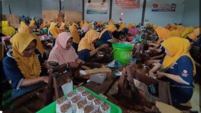 Berdirinya Pabrik Rokok Dan Kontribusi Bagi Daerah