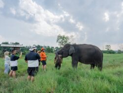 LindungiHutan dan Taman Nasional Way Kambas Tingkatkan Konservasi dan Pemberdayaan Masyarakat