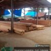 Panglong Kayu Ilegal Jalur Sungai Bebas Beroperasi
