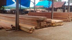 Panglong Kayu Ilegal Jalur Sungai Bebas Beroperasi