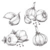 Efektivitas Bawang Putih ( Allium sativum ) dalam Menurunkan Tekanan Darah pada Penderita Hipertensi